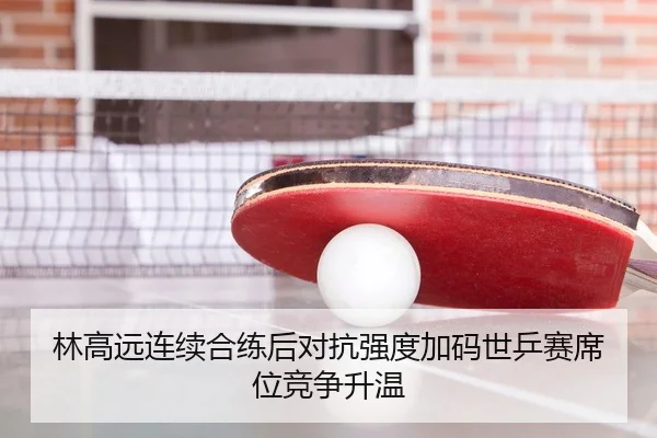 林高远连续合练后对抗强度加码世乒赛席位竞争升温