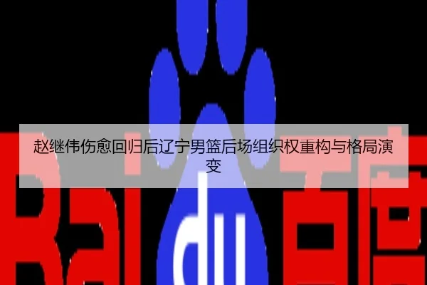 赵继伟伤愈回归后辽宁男篮后场组织权重构与格局演变